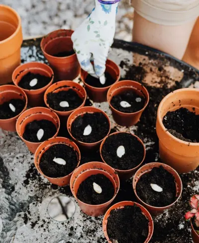 Soil & Manure